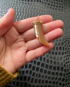 vintage shell faux claw charm pendant necklace