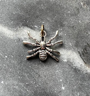 silvery spider charm