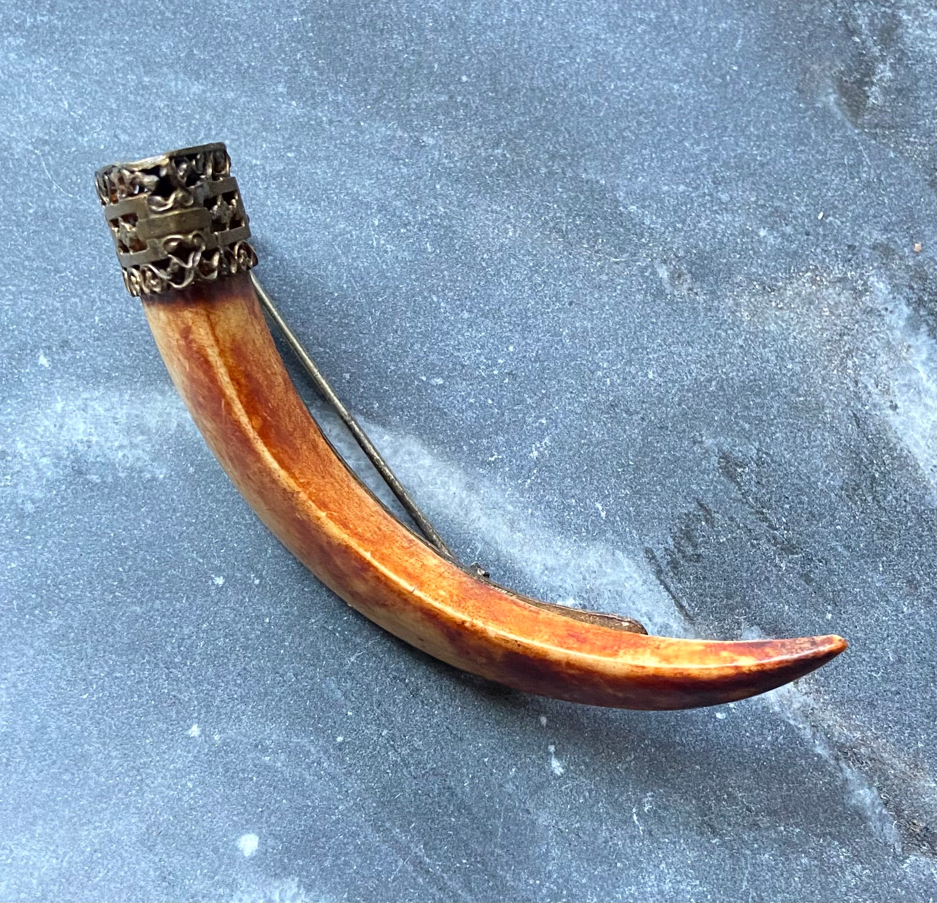 antique victorian faux claw brooch pin