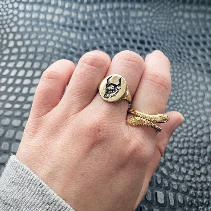 Adjustable double headed snake ring