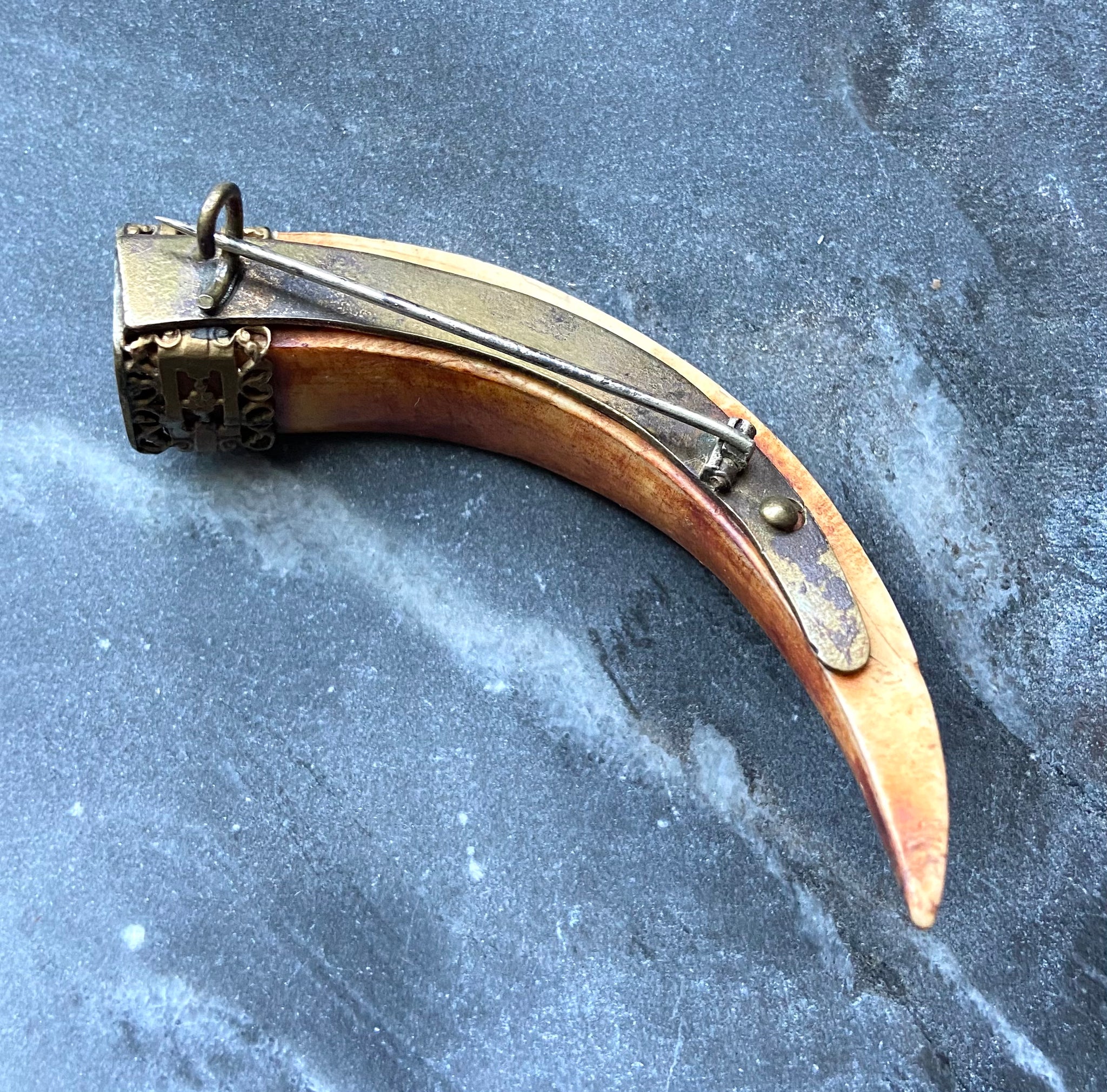 antique victorian faux claw brooch pin